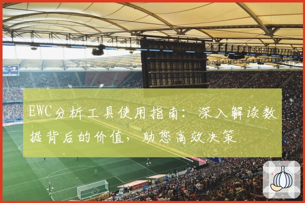EWC分析工具使用指南：深入解读数据背后的价值，助您高效决策