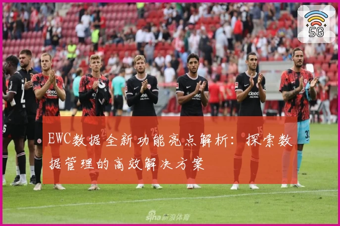 EWC数据全新功能亮点解析：探索数据管理的高效解决方案
