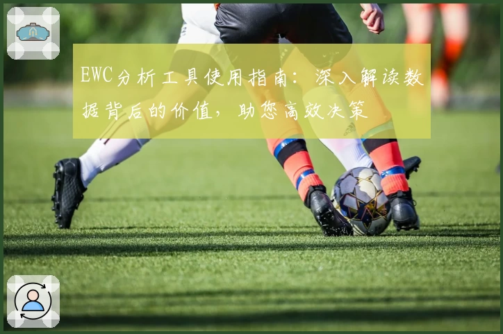 EWC分析工具使用指南：深入解读数据背后的价值，助您高效决策